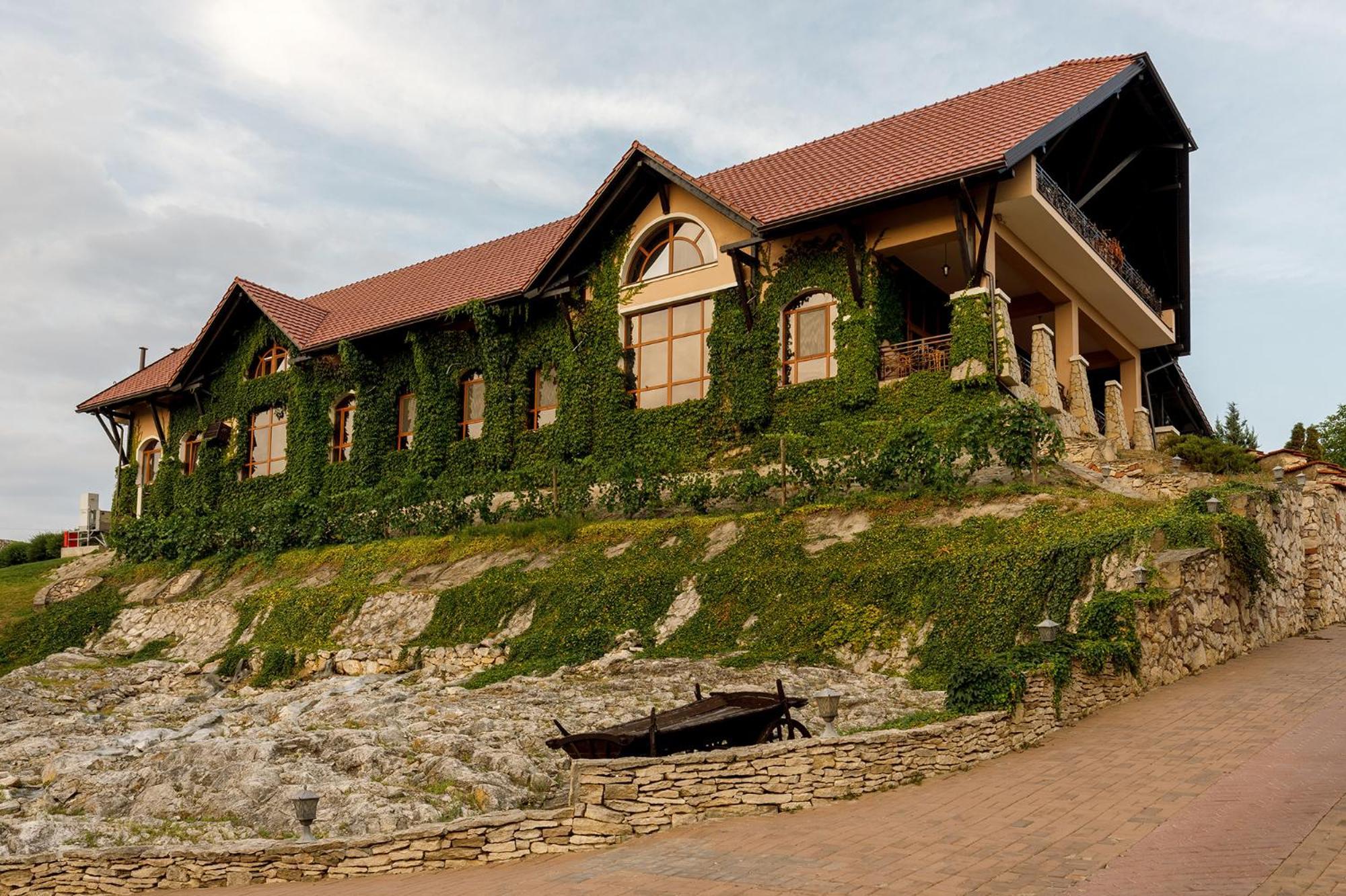 Chateau Vartely Orhei Exteriör bild